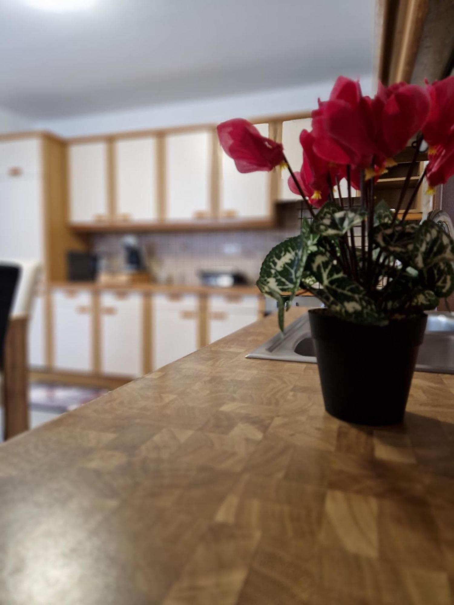 Apartment Lara Sankt Peter am Bichl Екстериор снимка