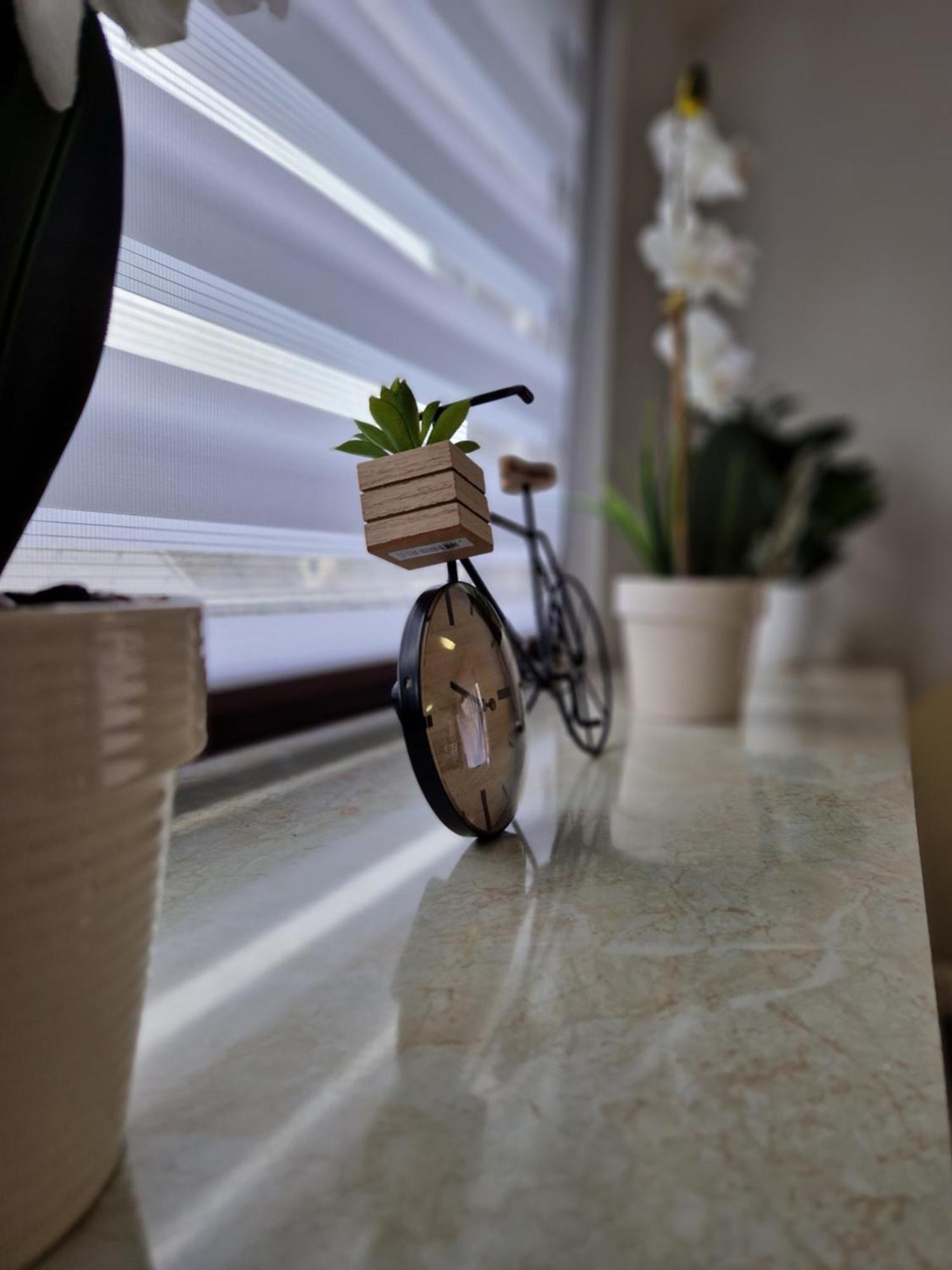 Apartment Lara Sankt Peter am Bichl Екстериор снимка